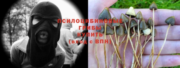 кокаин перу Михайлов