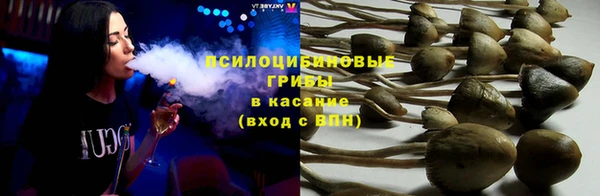 ПСИЛОЦИБИНОВЫЕ ГРИБЫ Богородск