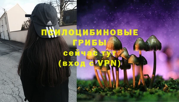 метадон Михайловка