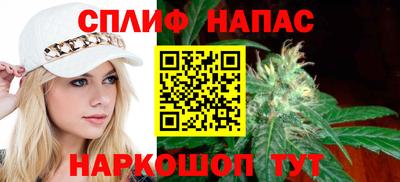 СК Беслан