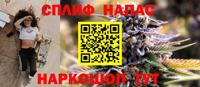 СК Беслан