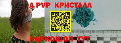 СК Беслан