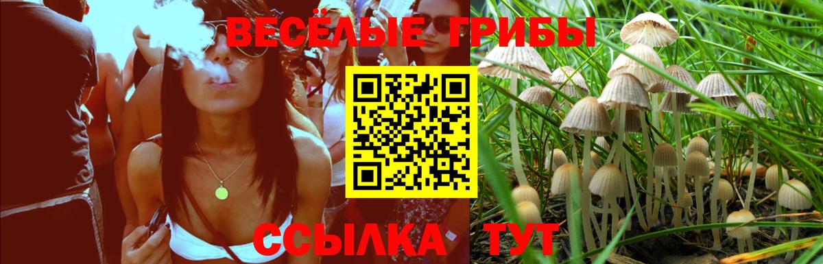 где продают наркотики  Пермь  Псилоцибиновые грибы Psilocybine cubensis 